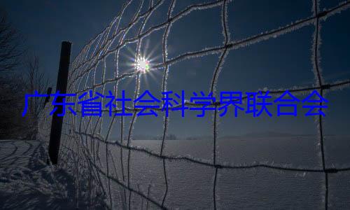 广东省社会科学界联合席余鸿纯被查会党组成员专职副主